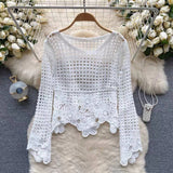 Embroidered Lace Crop Top