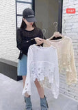 Embroidered Lace Crop Top